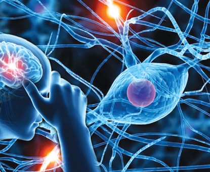 Người béo phì và tình trạng rối loạn thần kinh thực vật